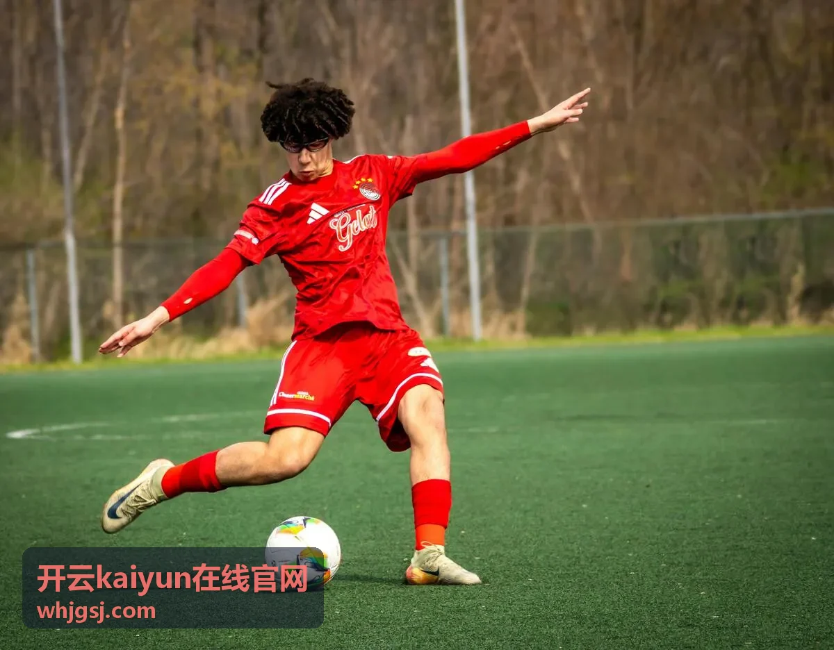 开云kaiyun在线官网应用场景中的咨询归集与受理入口